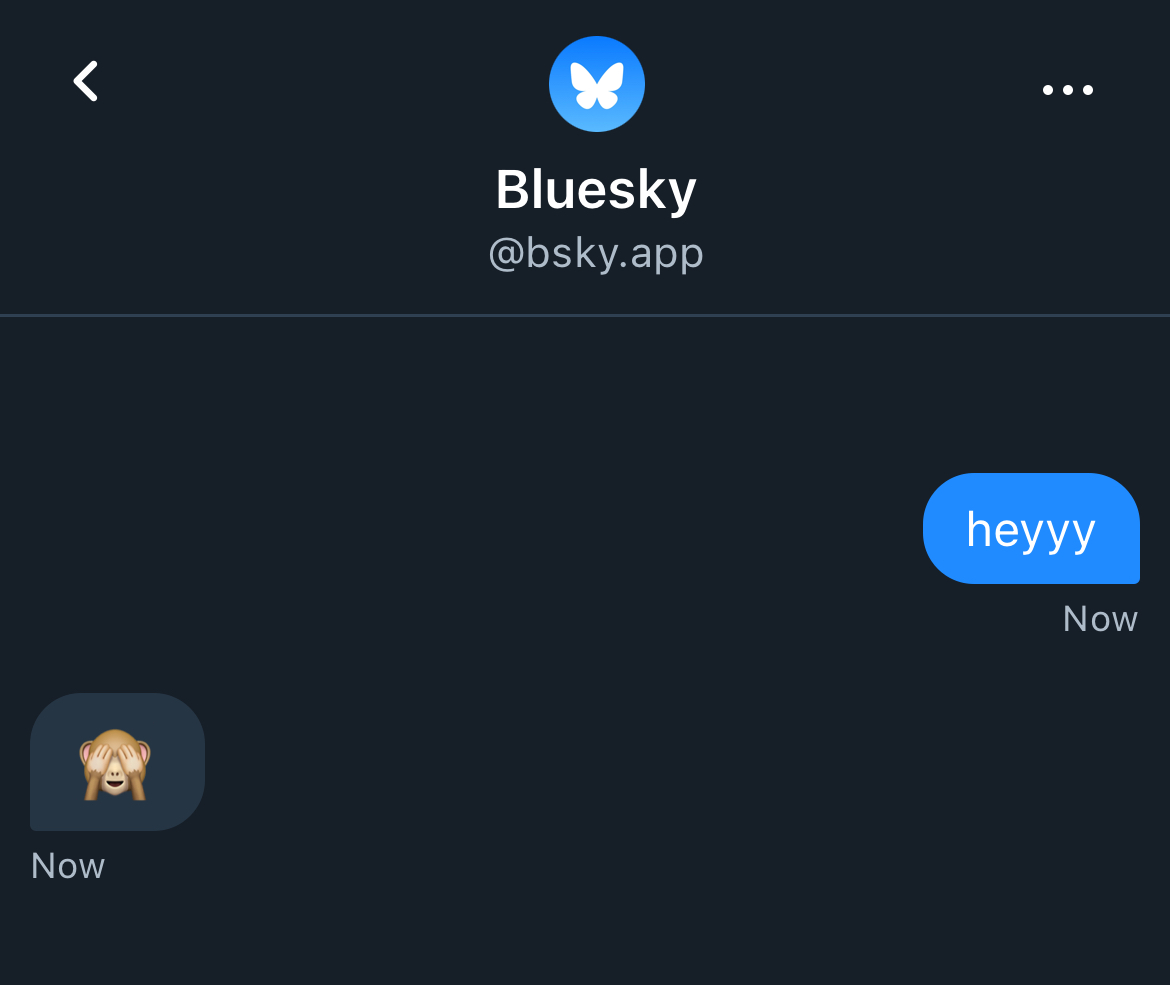 Screenshot of the DM interface in the Bluesky app